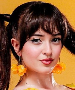 Melis Fis
