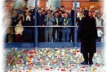 Söğüt Ağacı
