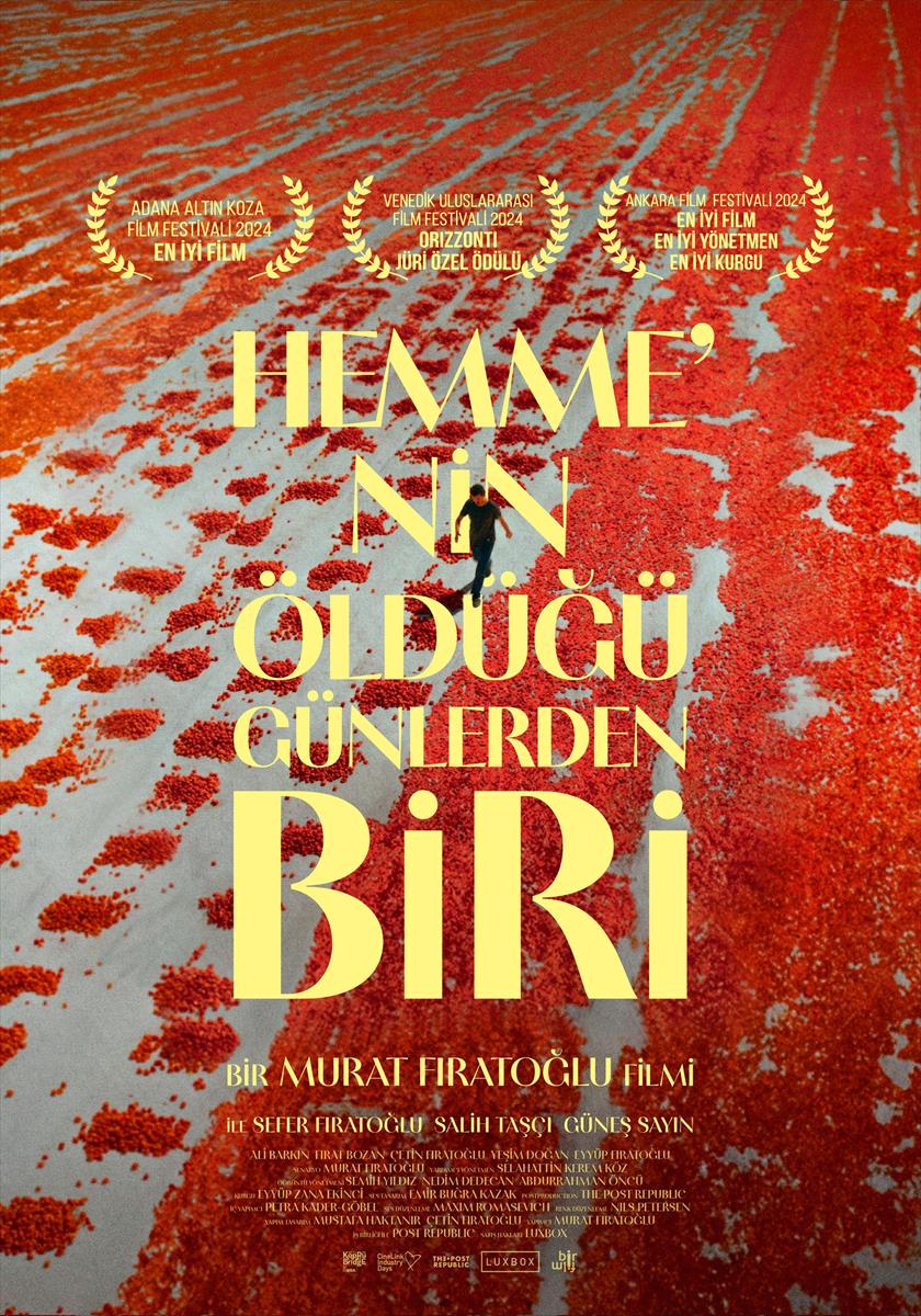 Hemme'nin Öldügü Günlerden Biri&nbsp;