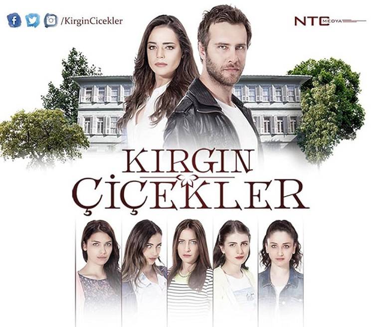 Kırgın &Ccedil;i&ccedil;ekler