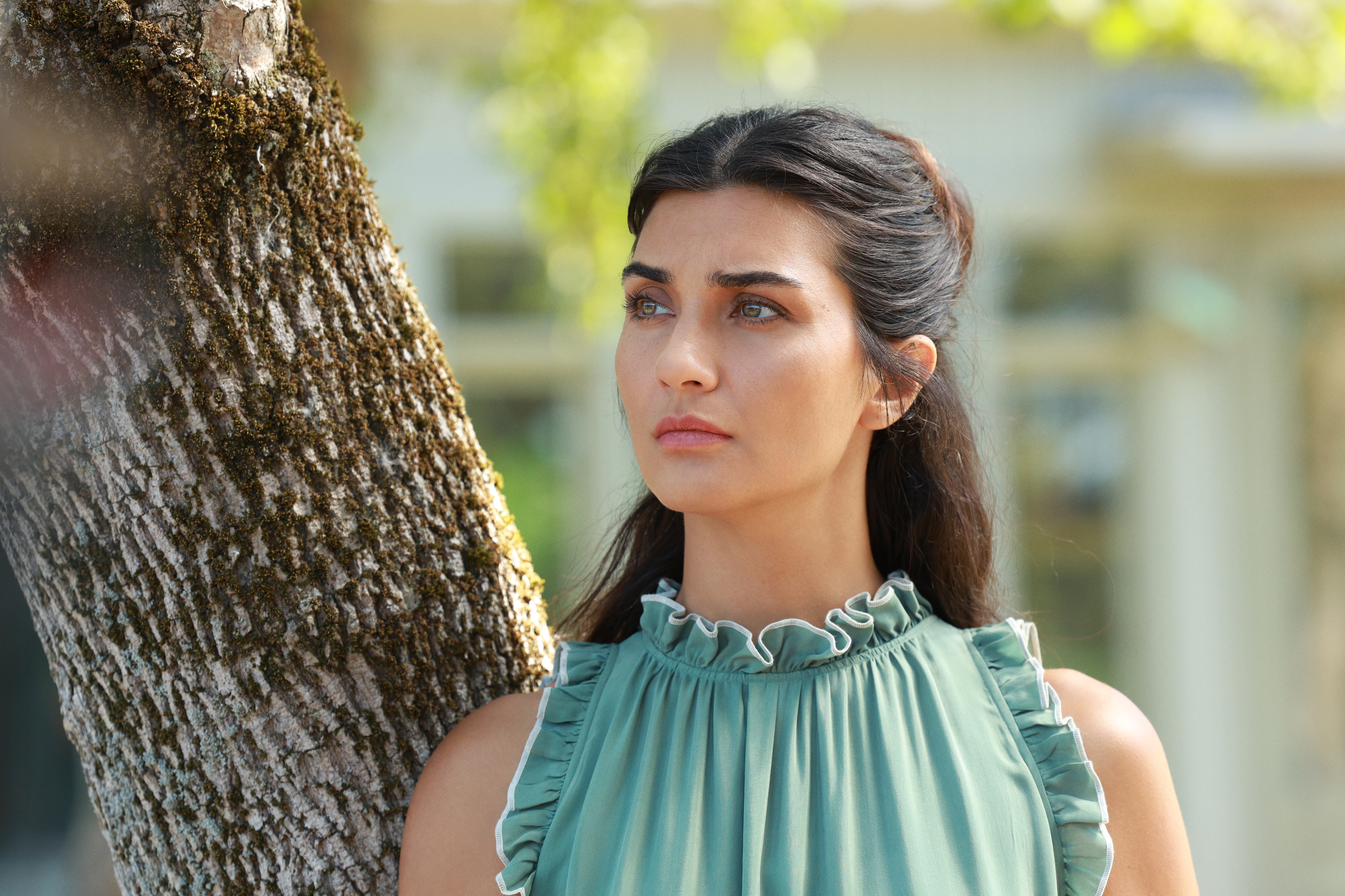 Zeytin Ağacı 3. sezon replikleri